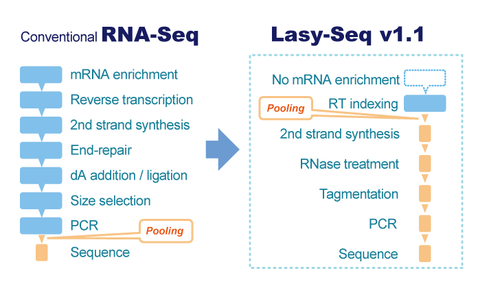 Transcriptomics